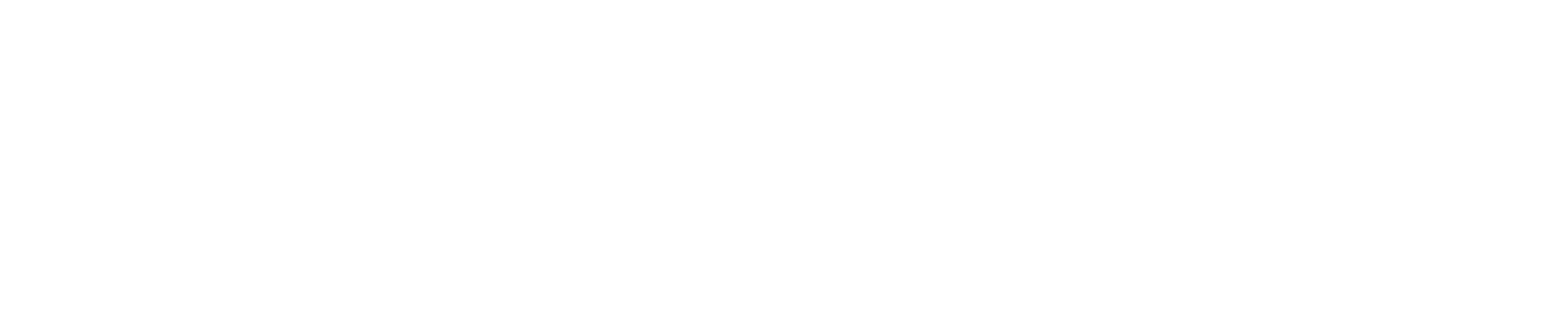 LS Consulting